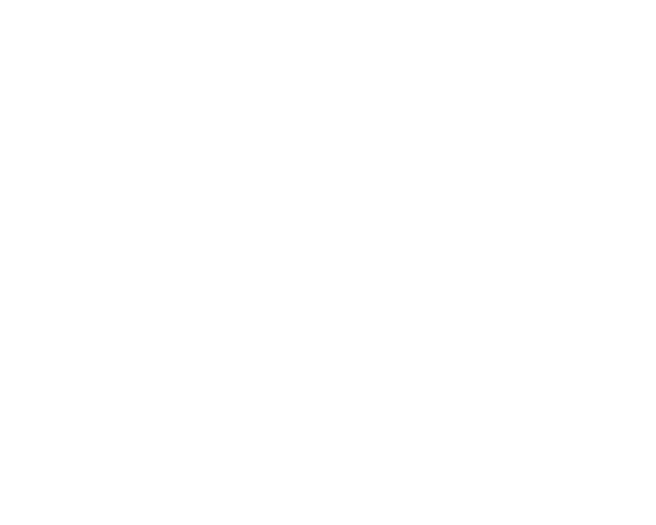 Buck-N-Bird Outdoors
